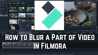 How to Blur a Part of Video in Filmora