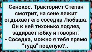 Как Тракторист на Сенокосе к Соседке Приставал! Большой Сборник Свежих Смешных Жизненных Анекдотов!