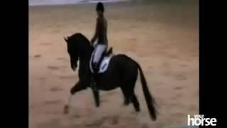 5 years old Valegro & Charlotte Dujardin - Your Horse Live Clinic