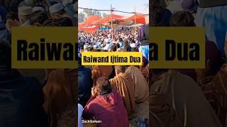 raiwand ijtima #ytshorts #tablegh #raiwind #raiwindmarkaz #islamic #viralvideo #trending