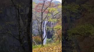 Waterfalls (Kegon waterfalls_Japan) #travel #trending #nature#ilovejapanese