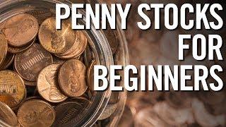 PENNY STOCKS FOR BEGINNERS  Basics Of Investing In Penny Stocks