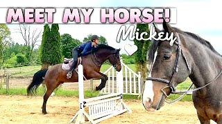 Meet My Horse IRL - Jumping Lesson! 