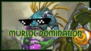 Hearthstone: Murloc domination (murloc paladin)