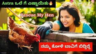 ನಮ್ಮ ಮನೆಯ ಅಸ್ತ್ರ ಒಲೆಗೆ ಎಷ್ಟಾಯಿತು ನೋಡಿ। Rescue my hen | ಕೋಳಿ ಬಾವಿಗೆ ಬಿದ್ದಿದೆ #jyothsnavlogs