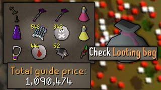 Profiting off PKers loot Piles (Wilderness Looting)