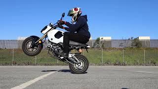 Wheelie Progress (7 Months) | 2024 Honda Grom