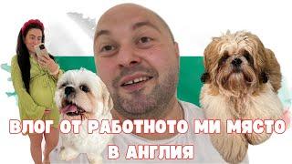 ВЛОГ ОТ РАБОТНОТО МИ МЯСТО В АНГЛИЯ/ДВА ДЕНА ПРЕДИ ДА СТАНЕМ РОДИТЕЛИ