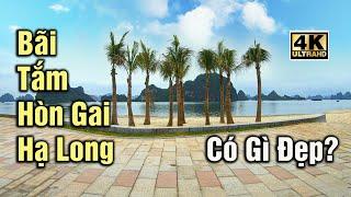 Bãi Tắm Hòn Gai Hạ Long Quảng Ninh: Walking on Hon Gai Ha Long Beach