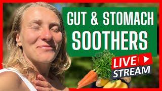 4 Gut & Stomach Soothing Foods to Eat Every Day (LIVE Q&A with Peggy)