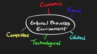 The External Business Environment