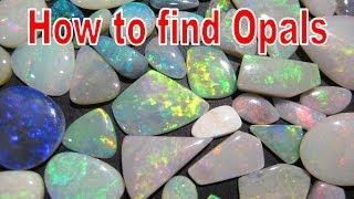 How to find Opals - Coober Pedy | Liz Kreate