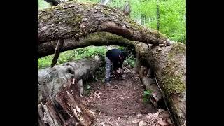 Bushcraft SURVIVAL Shelter, Building a Cozy Secret Shelter.Perfect.