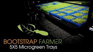 Bootstrap Farmer 5x5 Microgreen Trays