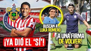 MOVIMIENTOS CONFIRMADOS EN CHIVAS! LUIS ROMO DA EL SI, ALAN PULIDO NUEVO 9 ¿VAN POR LUKA ROMERO?