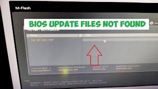 How to fix Bios Update files not found on usb stick