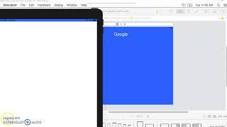 Coding Assignment 5,  iOS WKWebView