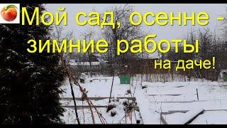 Сад и дача Осенние и зимние приятные работы в саду Готовимся к большому урожаю уже сейчас!