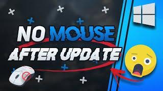 FIX Mouse Not Working After Windows Update on Windows 10 [2024 Tutorial]