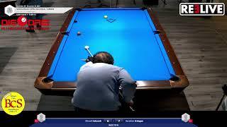 Efendi Cekerek vs Ibrahim Erdogan Table15 Sindelfingen Open 2024 9-Ball Turnier