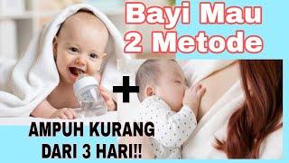 Tips Jitu Agar Bayi Tidak Bingung Puting || Minum ASI Di Botol Susu Mau, Disusukan Langsung Juga Mau