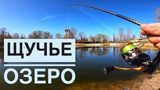 Рыбалка в черте Киева. Джиговая рыбалка на щуку с берега на озере в Киеве.