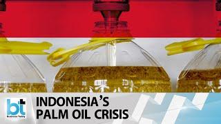 Explained: Palm oil crisis in Indonesia and its impact on India