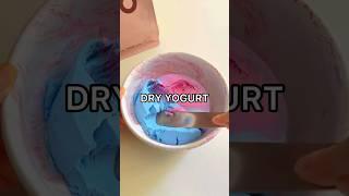 I Made VIRAL DRY YOGURT!  *RESULTS*