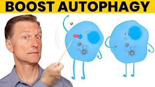 The 7 Powerful Ways to Increase Autophagy