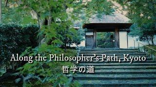 Walking along the Philosopher's Path, Kyoto (4K)