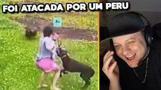 ELA FOI ATACADA POR UM PERU KKKKKK! - AXT REACT DAILY DOSE OF INTERNET