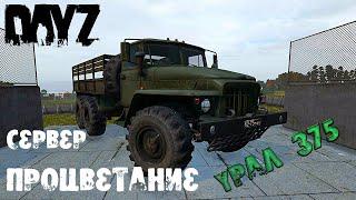 DayZ Обзор Урал 375