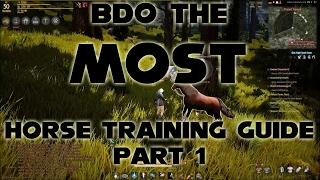 BDO The Most Detailed Training Guide | Part 1 | Black Desert Online