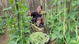 Video compilation of farming and trading work of a single mother and daughter