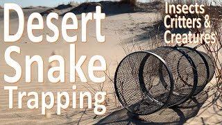 Desert Snake Trapping -Catching Critters and Creatures