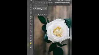 Change The Color of Anything in photoshop-Shorts Tutorial