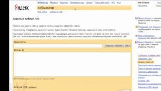 Правила для роботов: анализ файла robots.txt