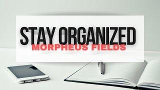 stay organized (morphic field)