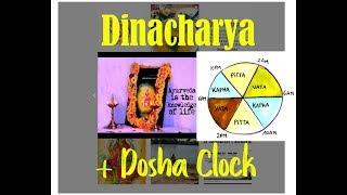 Introduction To Ayurveda: Dinacharya [Daily Routine] + "Dosha Clock"