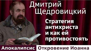 Стратегия антихриста и как ей противостоять