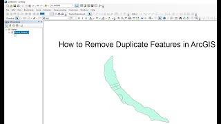 How to Remove Duplicate Feature in ArcGIS