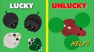 Mope.io - LUCKY VS UNLUCKY Players in Mope.io - Mope.io Bests and Funny Moments