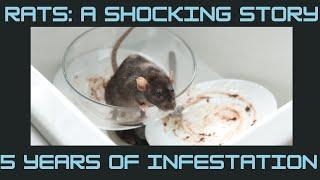 5 year RAT PROBLEM? - Don't rely on the WATER AUTHORITIES!