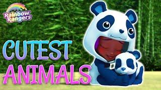 Cutest Animals  Rainbow Rangers Full Episodes  1 Full Hour 