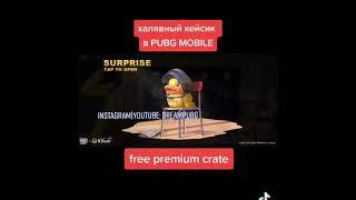 Pubg Mobile: Небольшая ХАЛЯВА от разрабов pubg mobile free rewards #Shorts