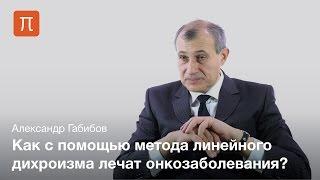 Топология ДНК — Александр Габибов