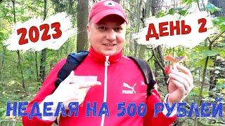 КАК ПРОЖИТЬ НЕДЕЛЮ НА 500 РУБЛЕЙ/ РОССИЯ 2023 / ДЕНЬ 2