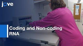 Coding and Non-coding RNA Classes Identification | Protocol Preview