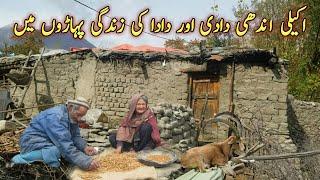 Old Blind Couple Living Alone On The Top Of Mountains in Pakistan | Siachen| Gilgit Baltistan