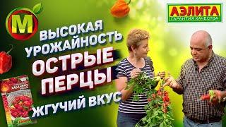 ️ Острые Перцы на 2021 год. Жгучий вкус. Высокая урожайность.